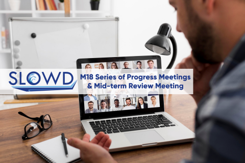 SLOWD Progress Meetings